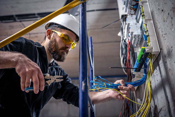 Best Electrical System Inspection  in Leesburg, GA